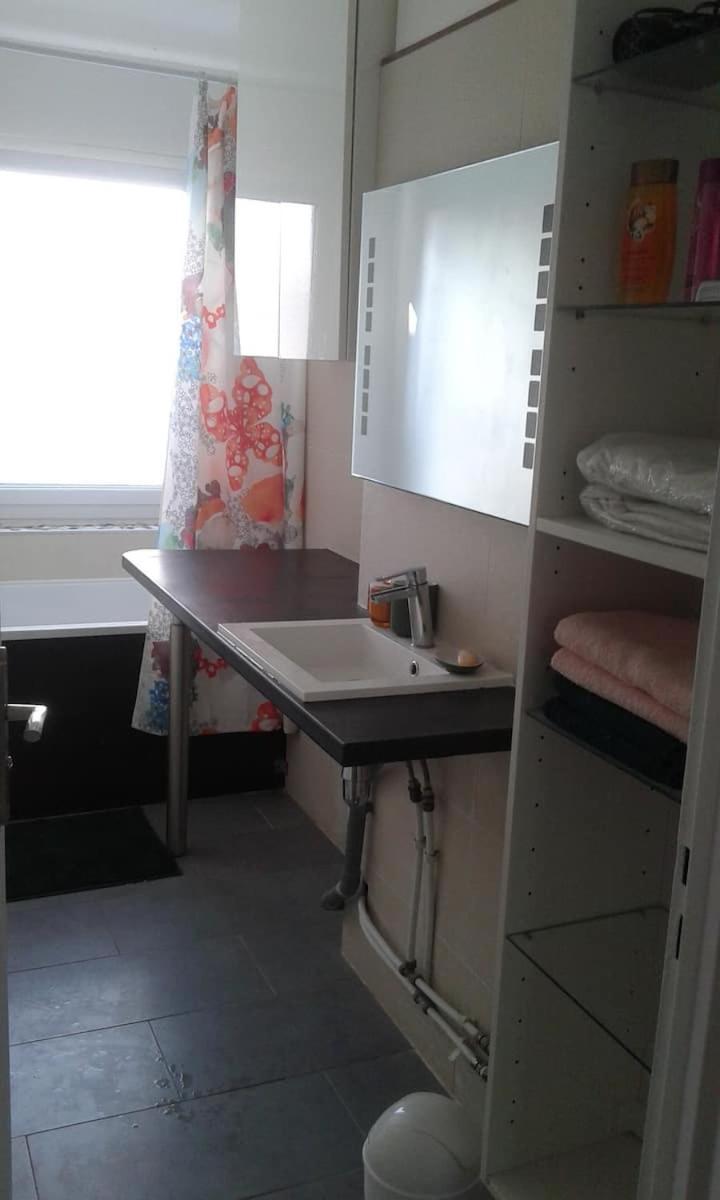 Chez Zidan Apartment Vincennes Ngoại thất bức ảnh